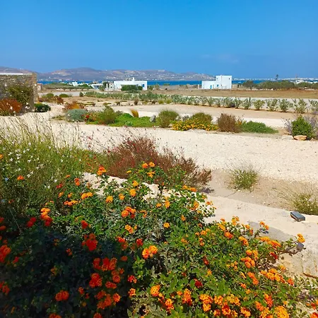 Campo Appartamento Kampos (Antiparos)
