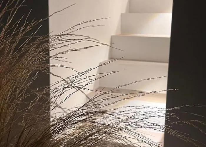 Appartamento Campo *